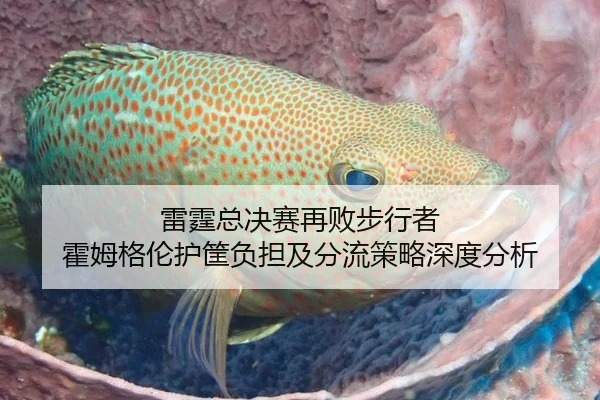 雷霆总决赛再败步行者 霍姆格伦护筐负担及分流策略深度分析