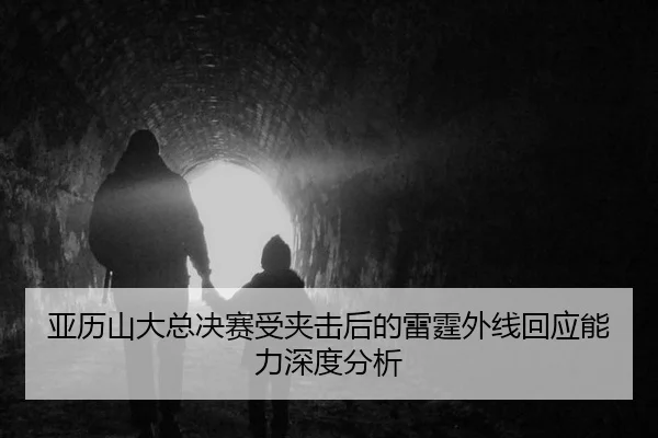 ya-li-shan-da-zong-jue-sai-shou-jia-ji-hou-de-lei-ting-wai-xian-hui-ying-neng-li-shen-du-fen-xi-2-259.jpg